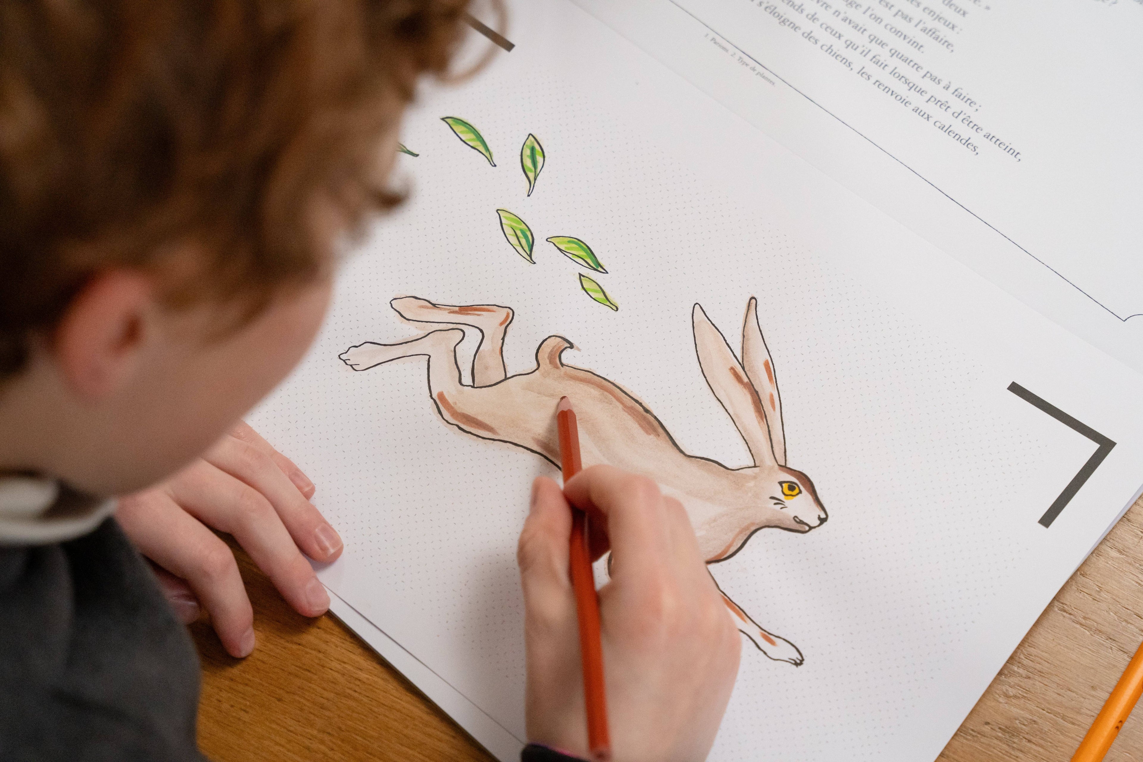 Les-Fables-de-La-Fontaine-Tome-2-3