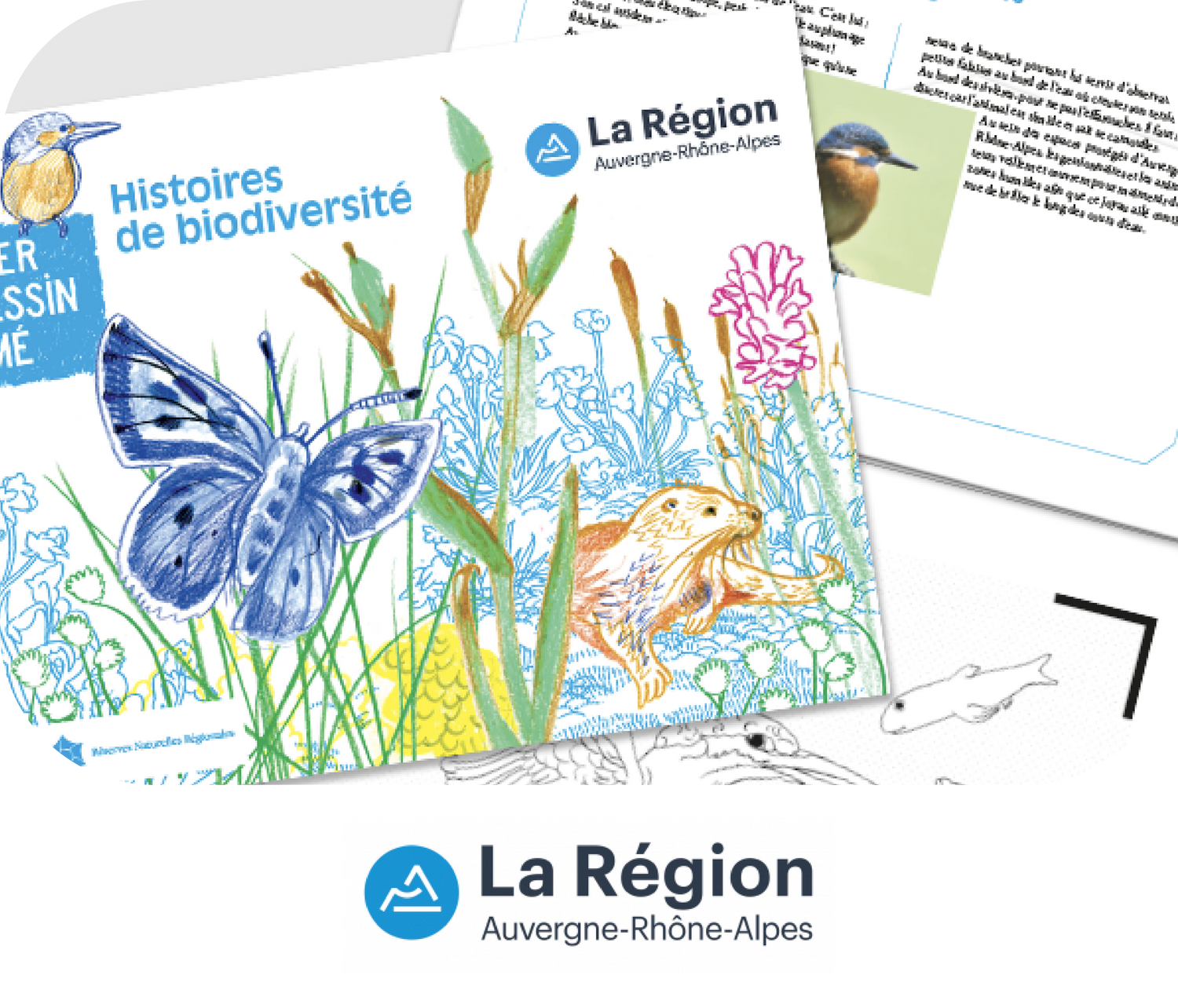 Histoires de biodiversité : BlinkBook s’allie à la Région Auvergne-Rhône-Alpes pour éveiller les jeunes