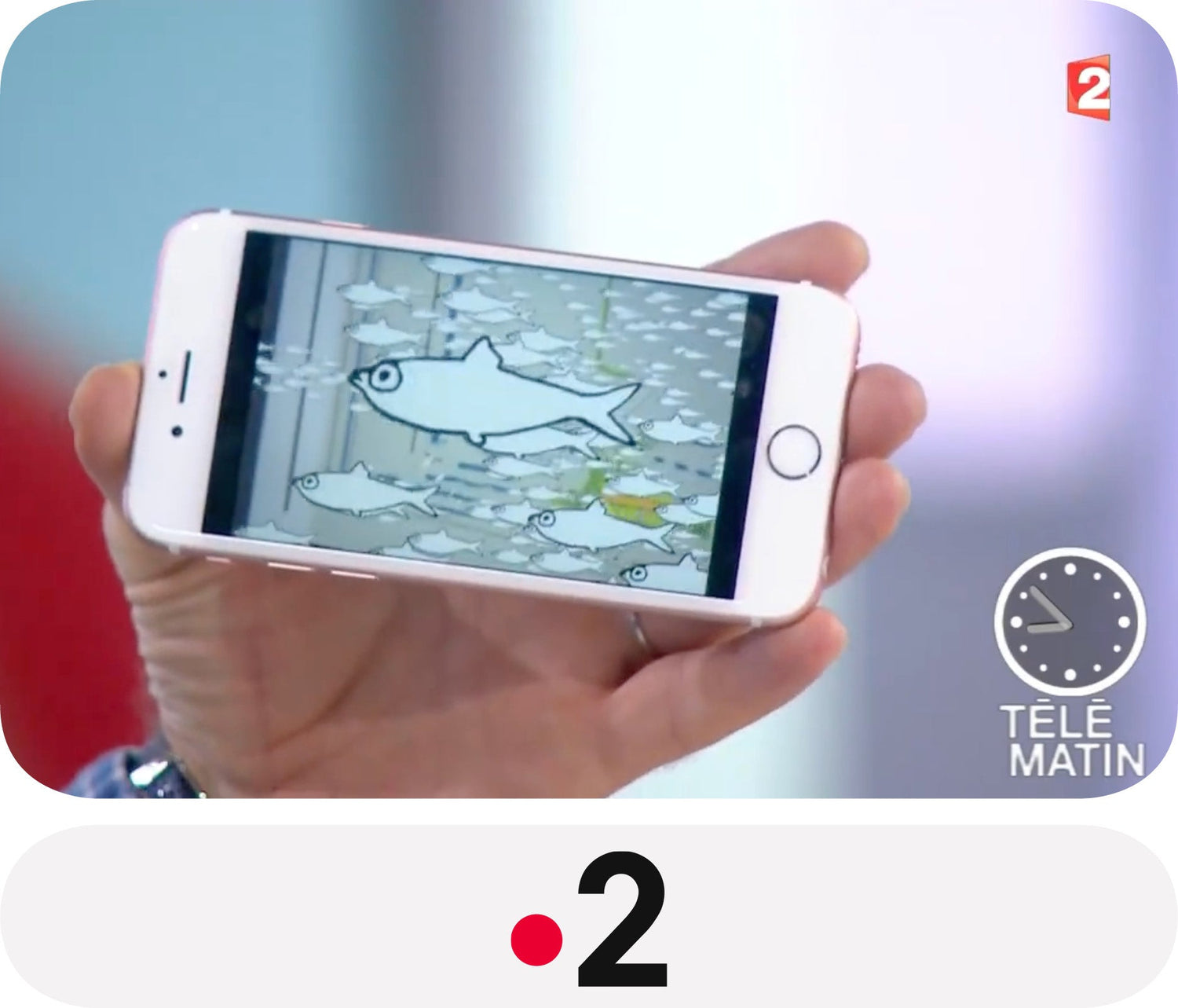 Les Cahiers Animés BlinkBook sur Télématin