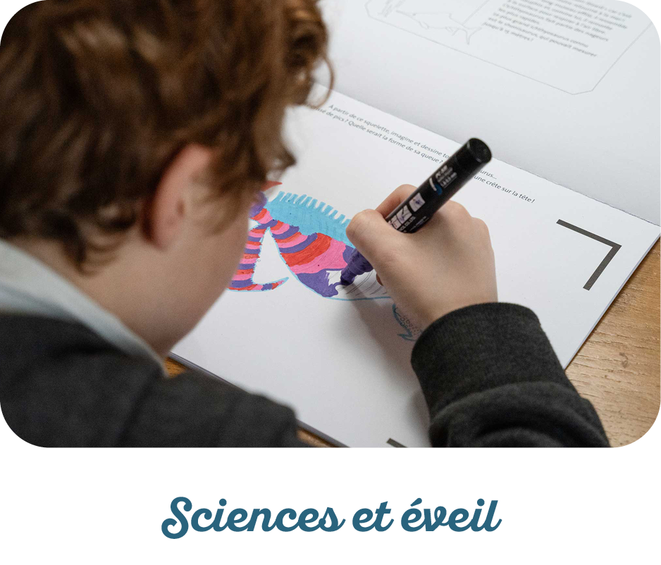 Sciences et éveil : le cahier qui anime les dinosaures pour la classe