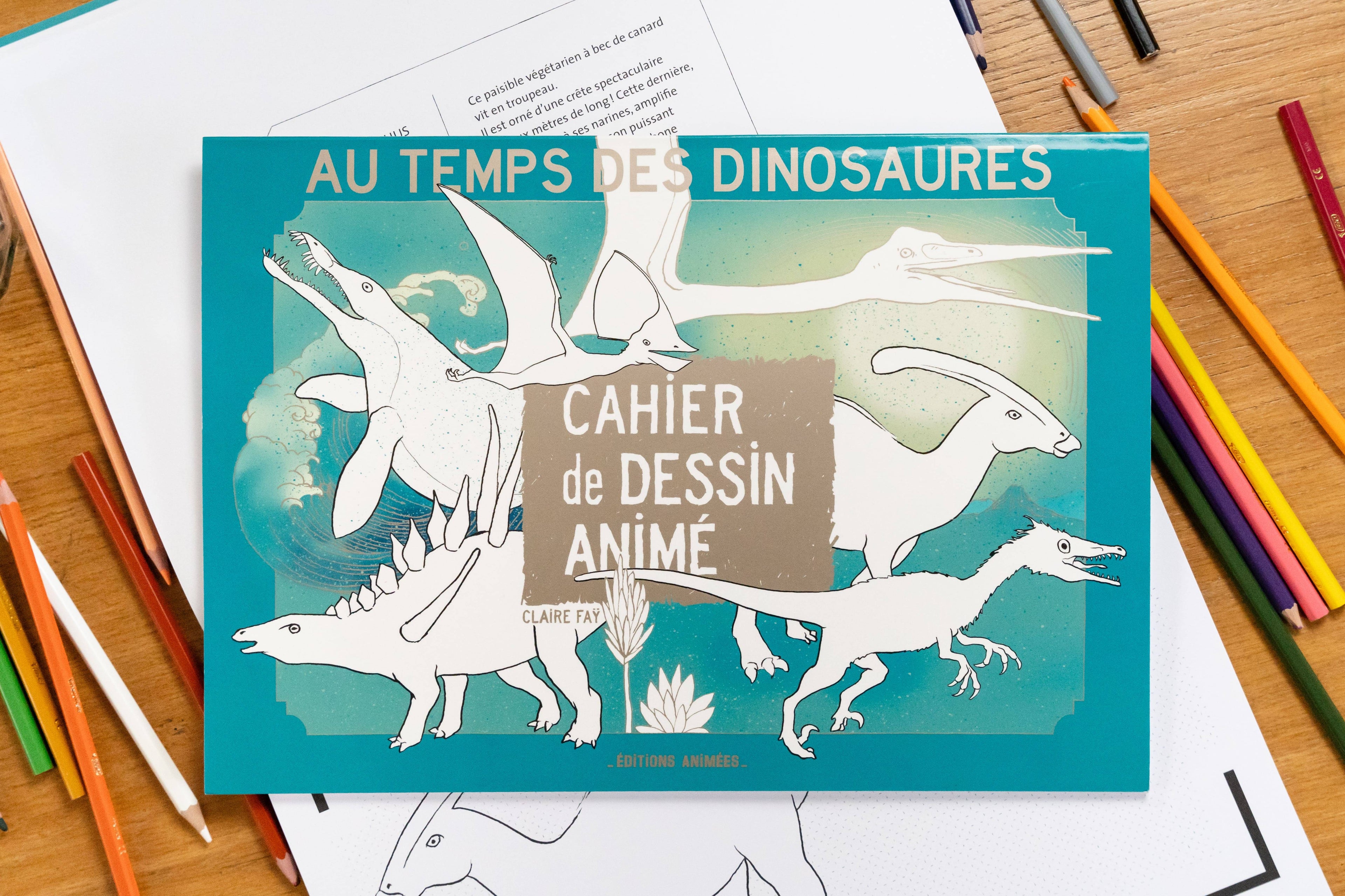 Au-temps-des-dinosaures-2