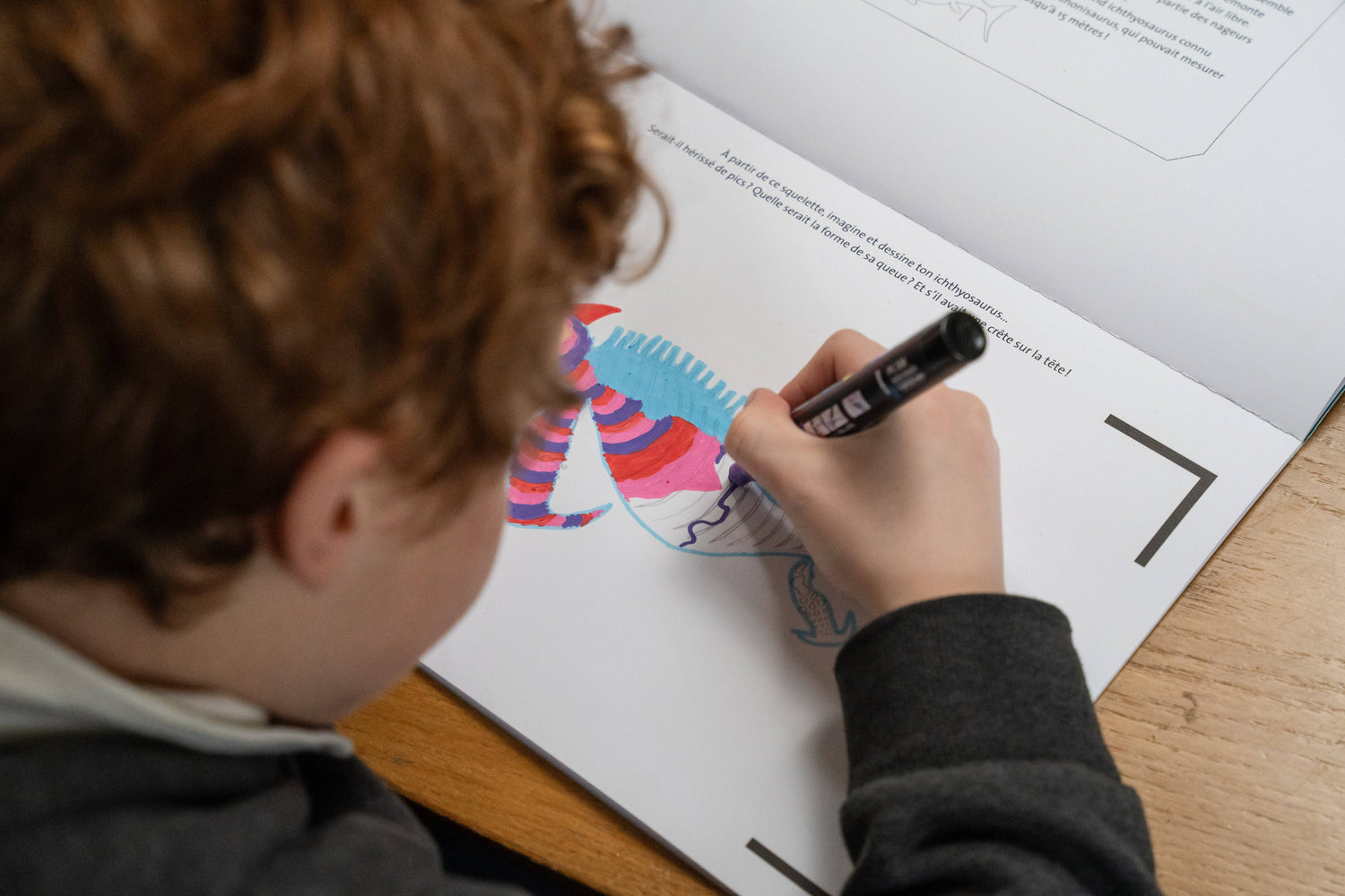 Au-temps-des-dinosaures-3